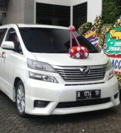 Ronald Weddingcar
