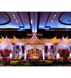 Pijar Lighting Specialist