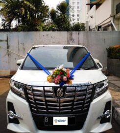 Steer Rent Car