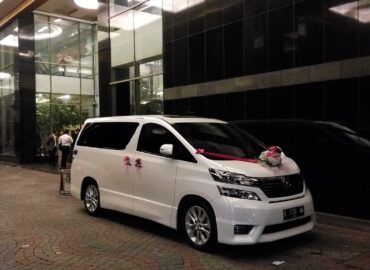 Shasha alphard vellfire wedding rent car