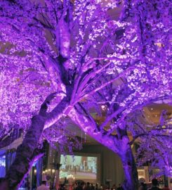 Pijar Lighting Specialist