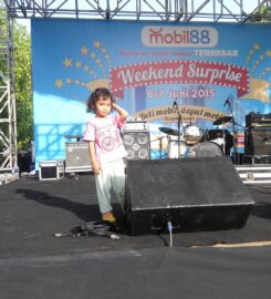 Pro Sound Maker