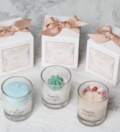 Scent and Light