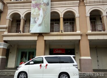 Shasha alphard vellfire wedding rent car