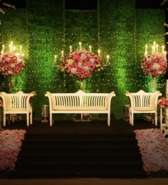 Pijar Lighting Specialist