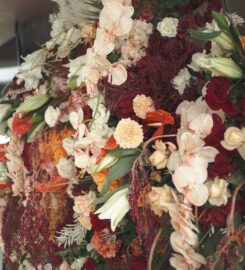 Moist Decoration