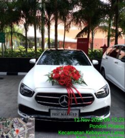 Alva Wedding Car