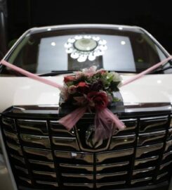 Steer Rent Car