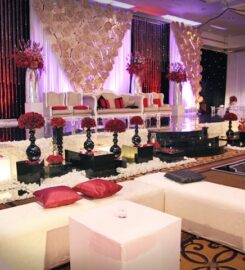 Pijar Lighting Specialist