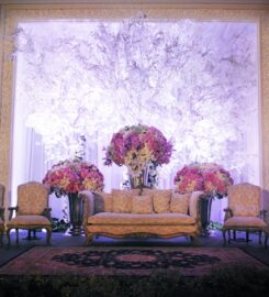 Pijar Lighting Specialist